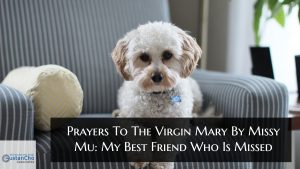 Prayers To The Virgin Mary By Missy Mu: My Best Friend Who Is Missed