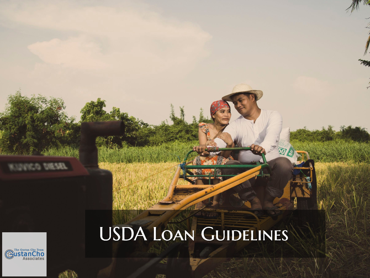 USDA Loan Guidelines