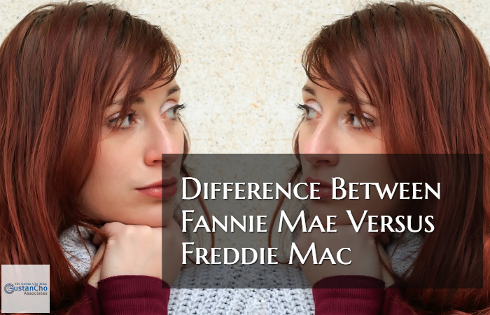Fannie Mae Versus Freddie Mac Roles In The Mortgage Process