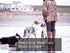 Feds Cause Mortgage Rates To Drop To Lowest Levels In 3 Years