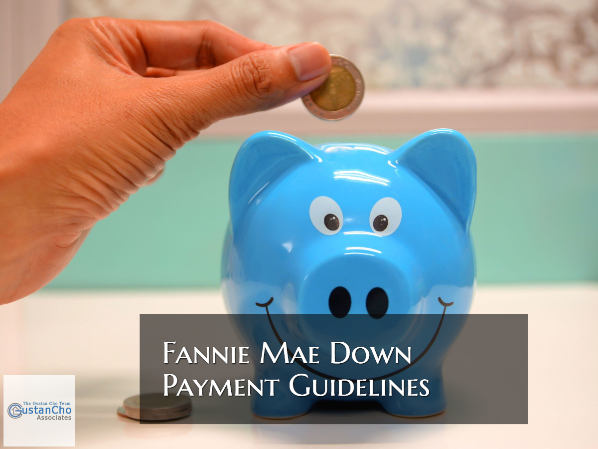 Fannie Mae Down Payment Guidelines