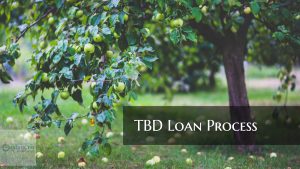 TBD Loan Program On Government And Conventional Loans