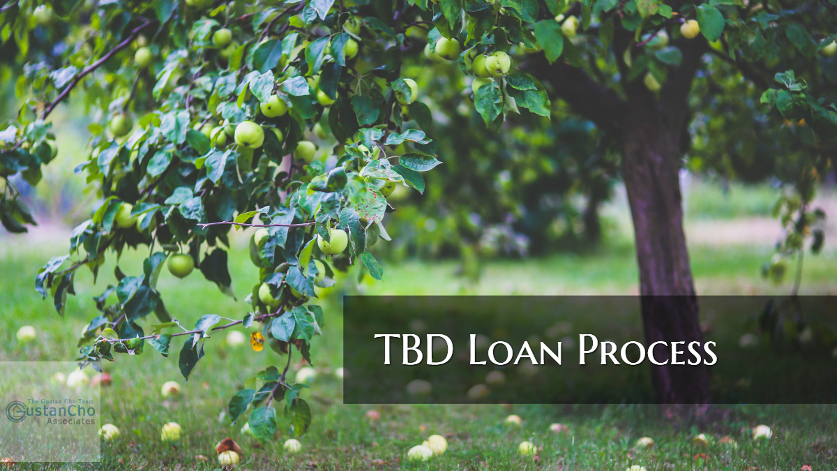 TBD Loan Program