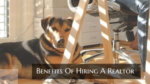 Benefits of Hiring a Realtor When Buying a Home