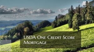 USDA One Credit Score Mortgage Guidelines On USDA Loans