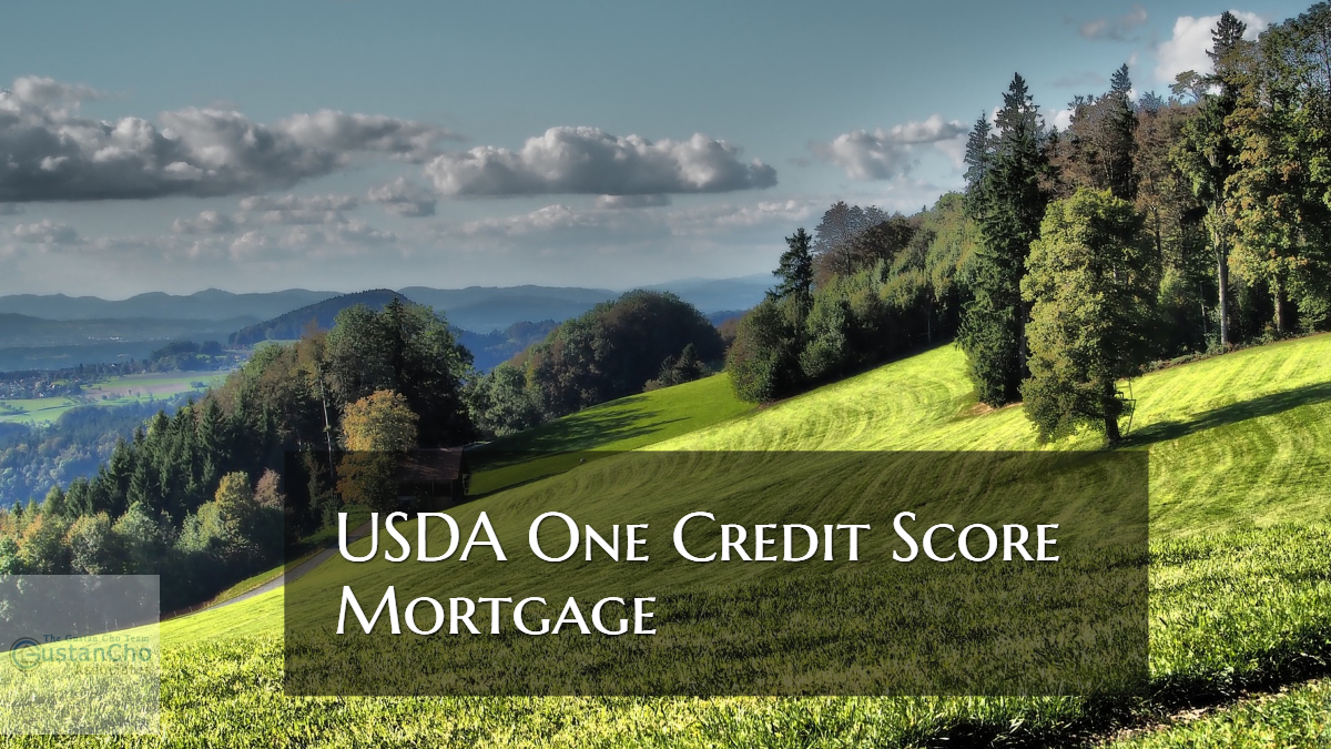 USDA One Credit Score Mortgage