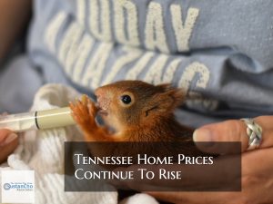 Tennessee Home Prices Continue To Rise Due To Low Mortgage Rates